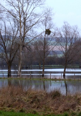 Plan Prevention Risques et Inondations