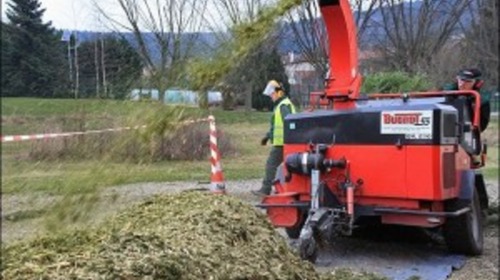 Une seconde vie pour les sapins de Noël