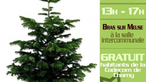 Opération broyage de sapins