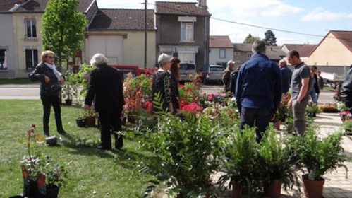 Du Bonheur sur le Marché aux Fleurs de Bras