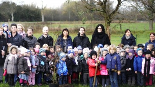 Un arbre pour le climat