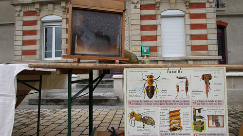 Apiculture : campagne de déclaration 2017