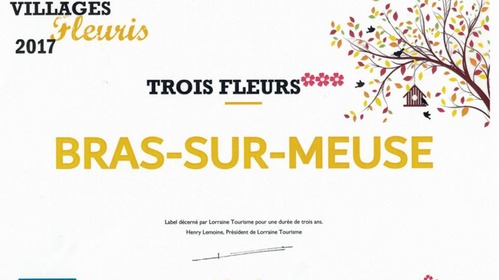 Bras maintient ses trois fleurs