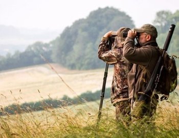 Tirs de chasse d'été