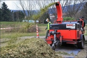 Une seconde vie pour les sapins de Noël