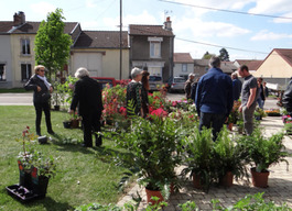 Du Bonheur sur le Marché aux Fleurs de Bras