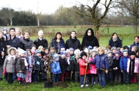 Un arbre pour le climat