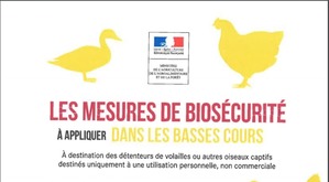 Mesures de biosécurité à appliquer dans les basses cours