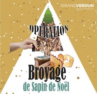 Broyage de sapins à la Maison du Temps Libre