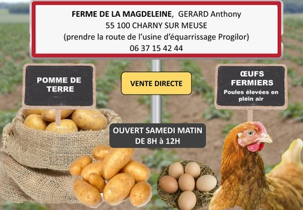 Ferme de la Magdeleine : vente directe